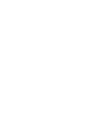 icon1