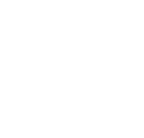 icon1